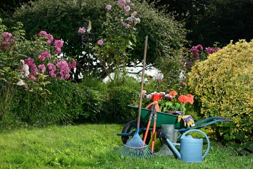Front garden tidy in Carshalton terrace