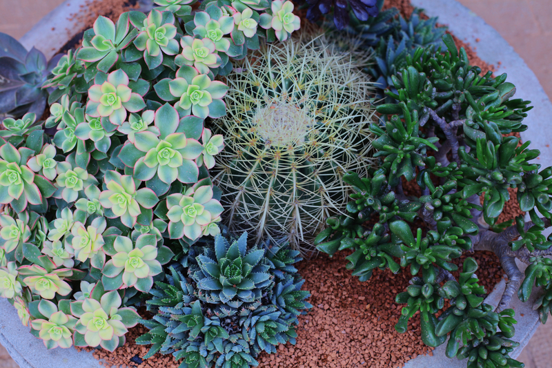 outdoor space patio