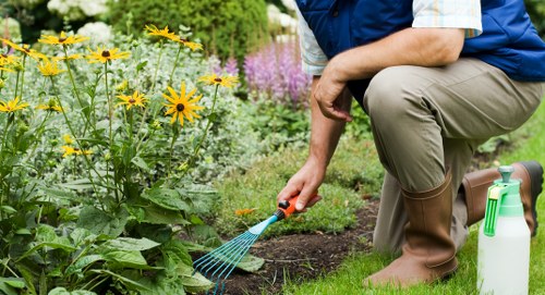 Autumn garden preparation in Carshalton